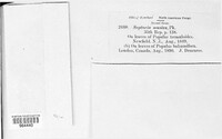 Image Associated With the Occurence